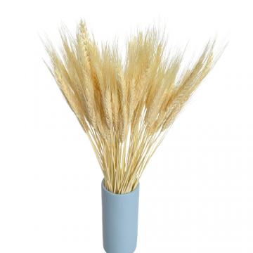 Suszki pszenżyto bielone,...