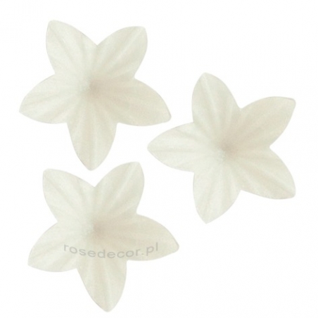 Kwiaty waflowe mini białe, opakowanie zbiorcze