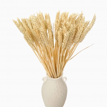 Suszki pszenica bielona,...