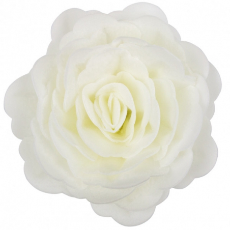 Róża waflowa duża biała