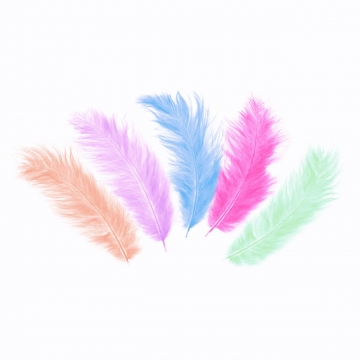 Piórka kolorowe mix, 50 szt.