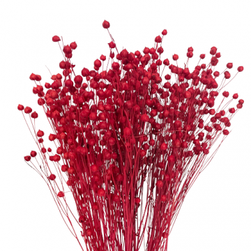 Suszki len suszony...