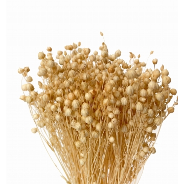 Suszki len suszony bielony,...