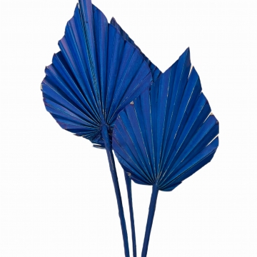 Suszki Liść palmowy...