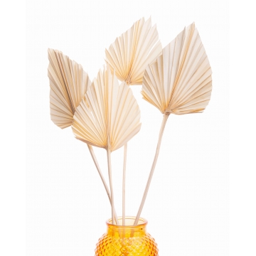 Suszki Liść palmowy...