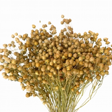 Suszki len suszony...