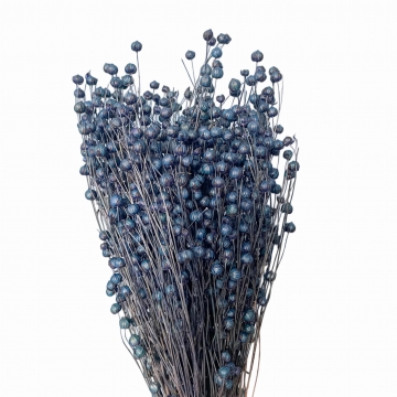 Suszki len suszony...