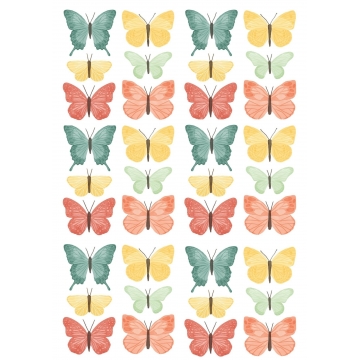 Motyle kolory ziemi, wydruk...