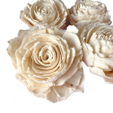 Suszki róża shola biała, 5...