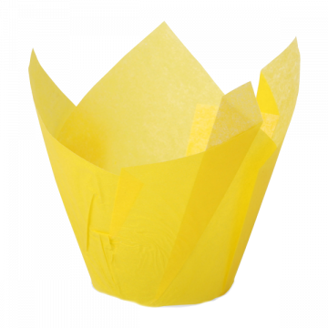 Papilotki tulipany żółte 30...