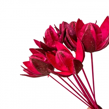 Suszki lilia fuksja, 1 szt.