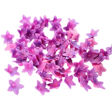 Kwiaty mini fioletowe liliowe