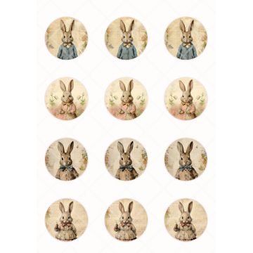 Vintage bunnies, kółka o...