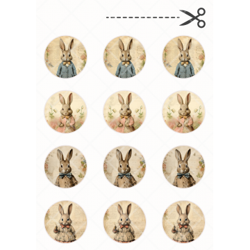 Vintage bunnies, kółka o...