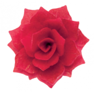 Waflowa róża rozalia...