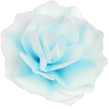 Róża pastella waflowa,...