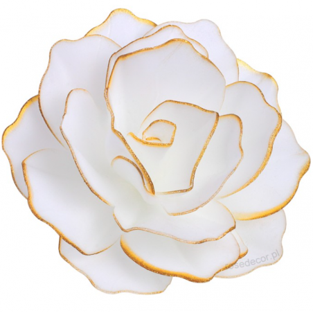 Róża pastella waflowa, perłowa ze złotą obwódką