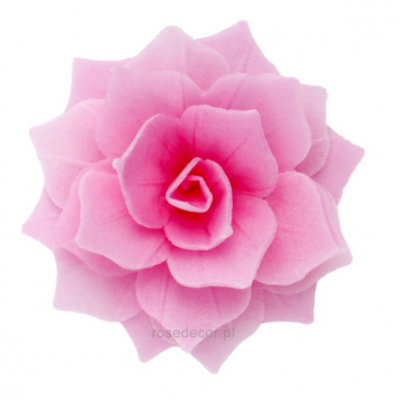 Waflowa róża rozalia...