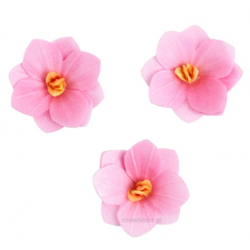 Waflowa hortensja...