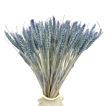 Suszki pszenica błękitna,...