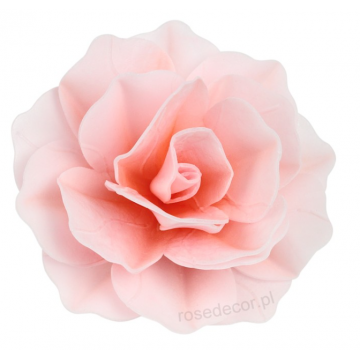 Róża pastella waflowa,...
