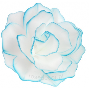 Róża pastella waflowa,...