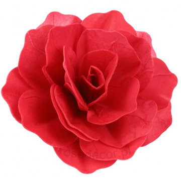 Róża waflowa pastella...