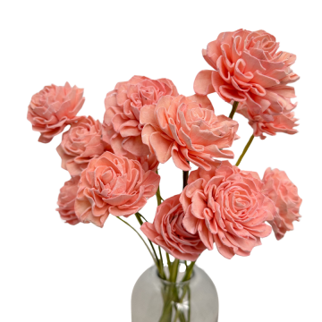 Suszki dalia shola różowa,...