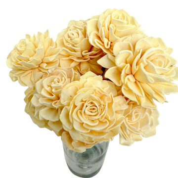 Suszki dalia shola kremowa,...