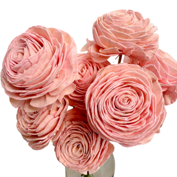 Suszki róża shola...