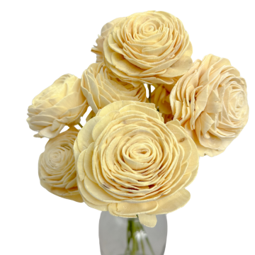 Suszki róża shola kremowa,...