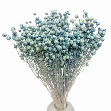 Suszki len suszony...