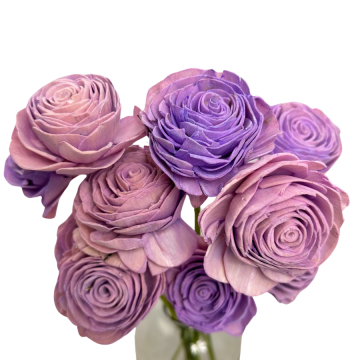 Suszki róża shola...