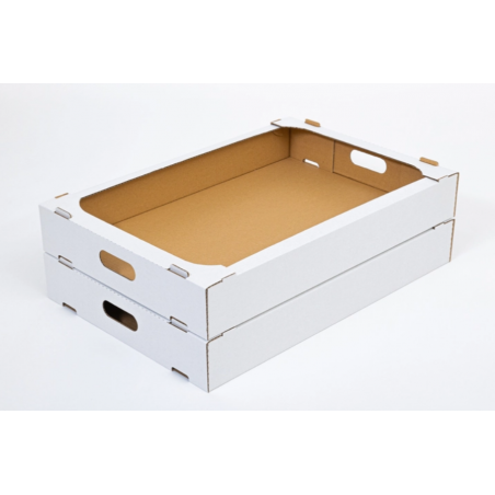 Pudełko karton transporter na ciasta i pączki 60 x 40 x 8,5 cm, 20 szt.