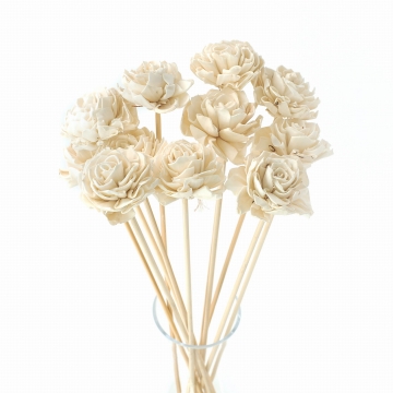 Suszki dalia shola kremowa,...