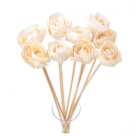 Suszki jaskier shola biały/kremowy, 1 szt.