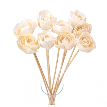 Suszki jaskier shola...