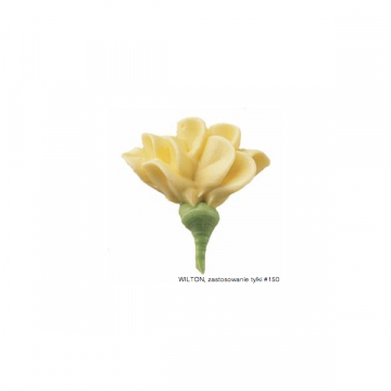 150 Tylka/ końcówka...