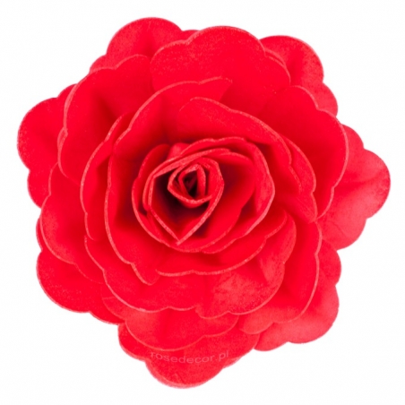 Róża waflowa czerwona duża