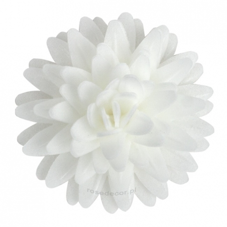 Kwiaty waflowe Stokrotka pomponikowa biała 12 szt.