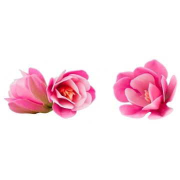 Kwiaty waflowe Magnolia...