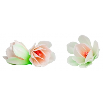 Kwiaty waflowe, Magnolia...