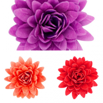 Kwiaty waflowe, Aster mix...