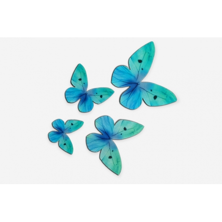 Motyle waflowe niebieskie, turkusowe w blistrze