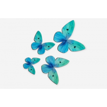 Motyle waflowe niebieskie,...